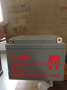 格瓦特蓄电池12V24AH B系列